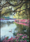Spring's Impressions Oil Painting